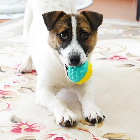 Felineau Balle Rebondissante Couineuse - Jouet Lancer Énergie Canine