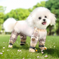Felineau Combinaison All-Weather pour Petit Chien - Beige ou Marron
