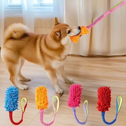 Felineau Corde de Traction Colorée pour Chien - 4 Couleurs