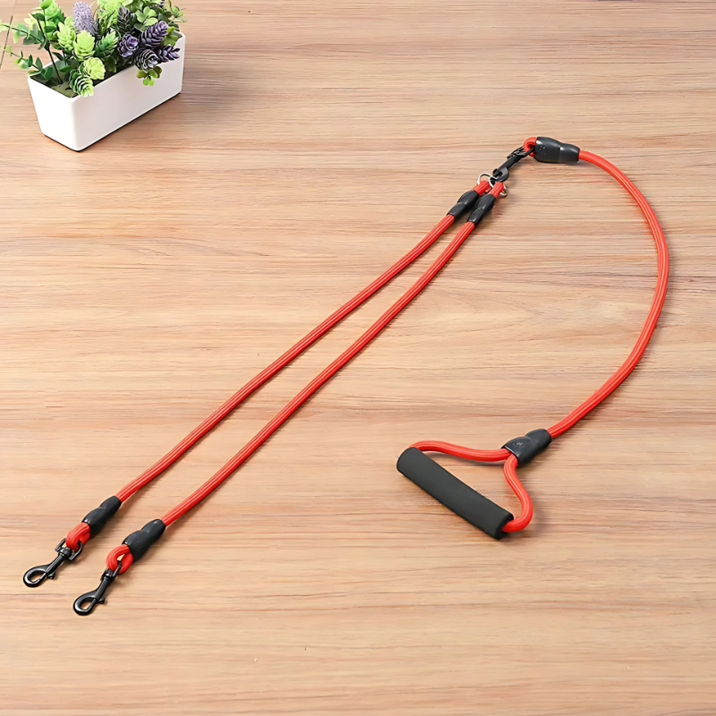 Felineau Laisse Enrouleur Rotative Double - Balade Absorbeur de Chocs