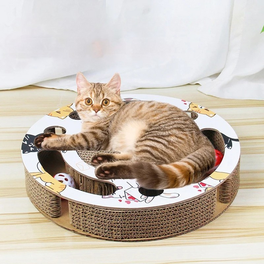 Felineau Circuit de Jeu Griffoir avec Balle pour Chat
