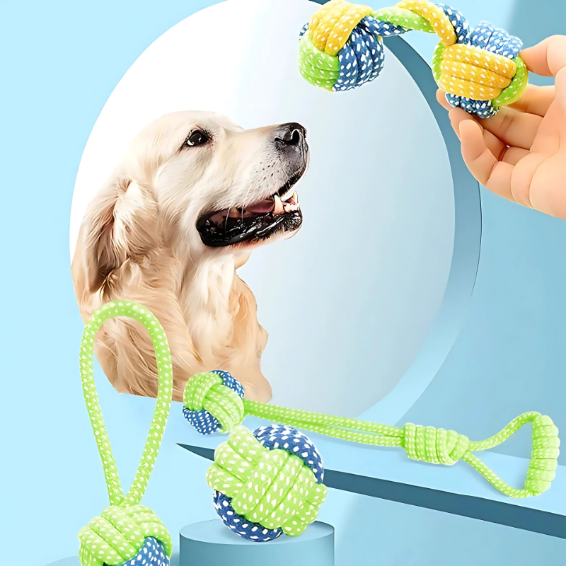 Corde a Macher Chien - Jouets Dentaires - image 3