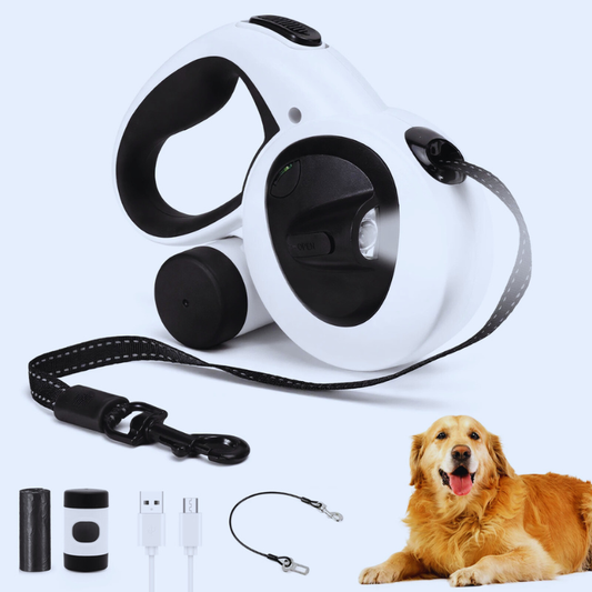 Laisse Retractable LED Chien - 5 m Rechargeable - image 1