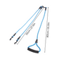 Felineau Laisse Enrouleur Rotative Double - Balade Absorbeur de Chocs