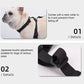 Chaussures pour chien reliées par sangles