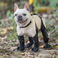 Chaussures pour chien reliées par sangles