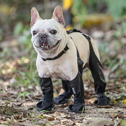 Chaussures pour chien reliées par sangles