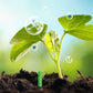 Bâtonnets d’engrais à diffusion progressive pour plantes