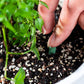 Bâtonnets d’engrais à diffusion progressive pour plantes