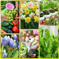 Bâtonnets d’engrais à diffusion progressive pour plantes