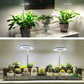 Lampe LED pour plantes à spectre complet avec minuterie