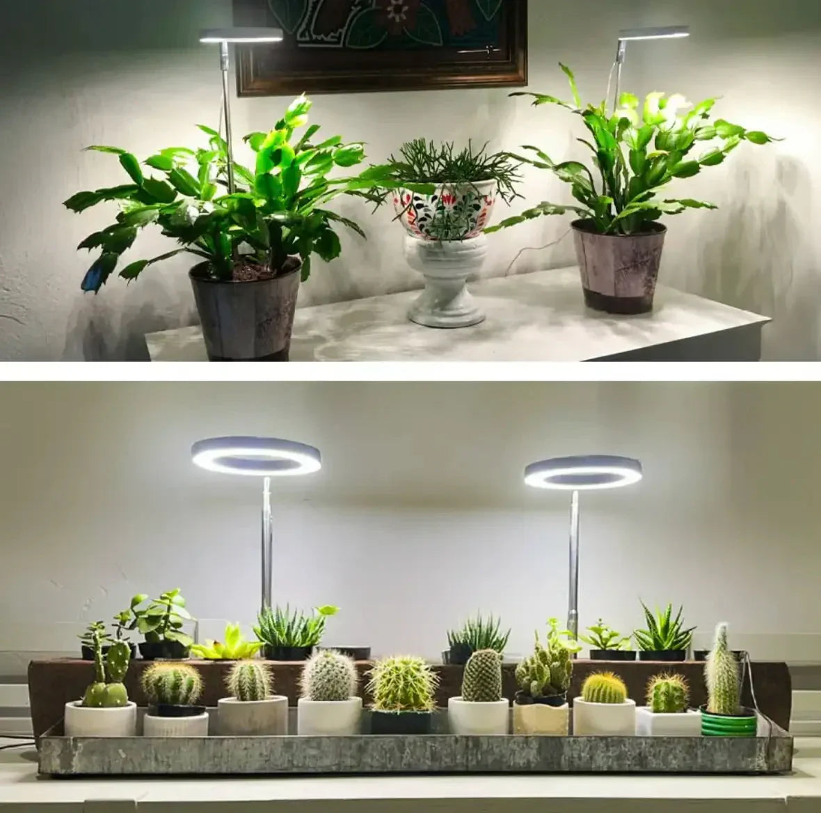 Lampe LED pour plantes à spectre complet avec minuterie