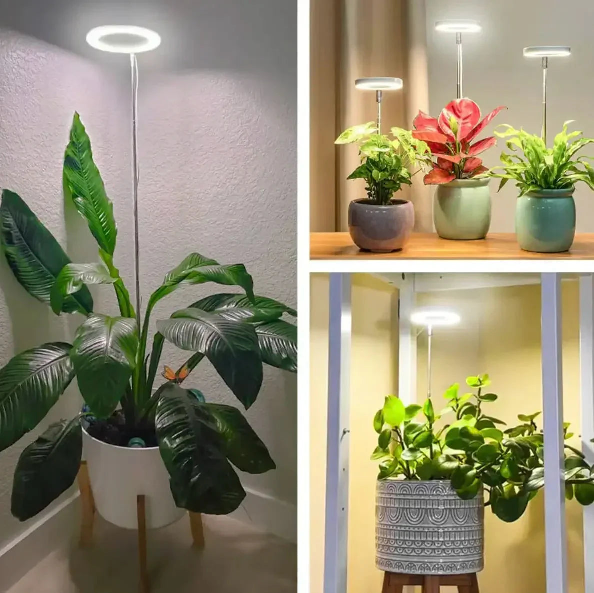 Lampe LED pour plantes à spectre complet avec minuterie