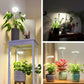 Lampe LED pour plantes à spectre complet avec minuterie