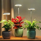 Lampe LED pour plantes à spectre complet avec minuterie