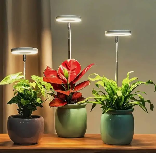 Lampe LED pour plantes à spectre complet avec minuterie
