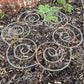 Support de plantes métallique en spirale