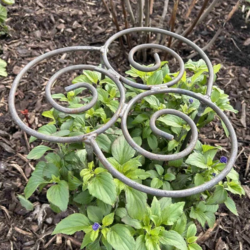 Support de plantes métallique en spirale
