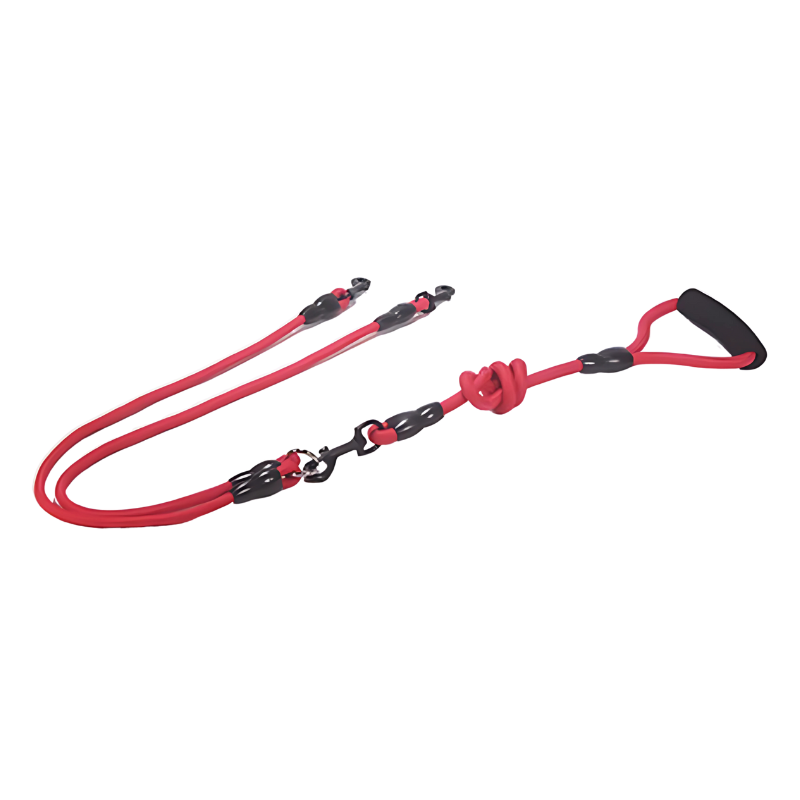 Felineau Laisse Enrouleur Rotative Double - Balade Absorbeur de Chocs
