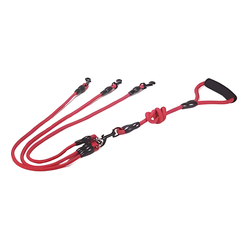 Felineau Laisse Enrouleur Rotative Double - Balade Absorbeur de Chocs