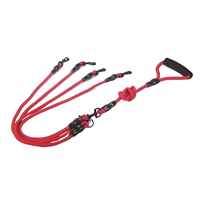 Felineau Laisse Enrouleur Rotative Double - Balade Absorbeur de Chocs