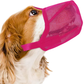 Museliere Chien Respirante - Ajustable Anti Ingestion - image 3