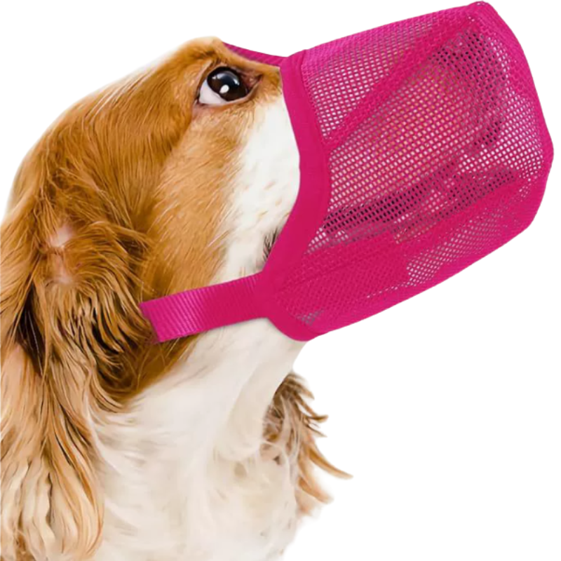 Museliere Chien Respirante - Ajustable Anti Ingestion - image 3