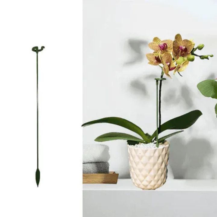 Tuteurs pour plantes à crochets – lot de 20