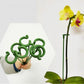 Tuteurs pour plantes à crochets – lot de 20