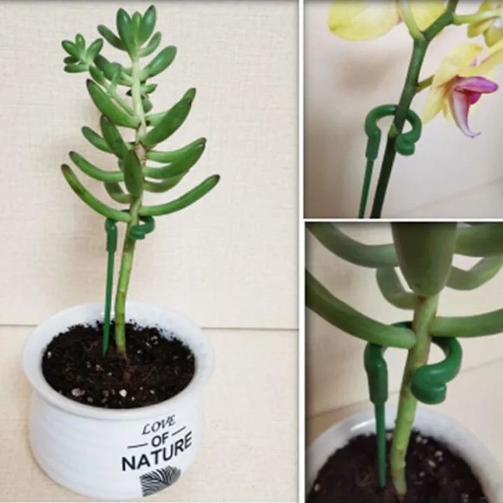 Tuteurs pour plantes à crochets – lot de 20