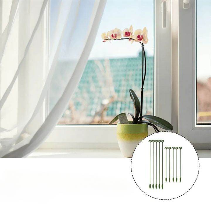 Tuteurs pour plantes à crochets – lot de 20