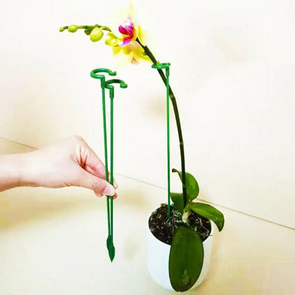 Tuteurs pour plantes à crochets – lot de 20