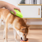 Brosse de toilettage avec brumisation pour animaux