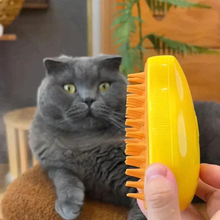 Brosse de toilettage avec brumisation pour animaux