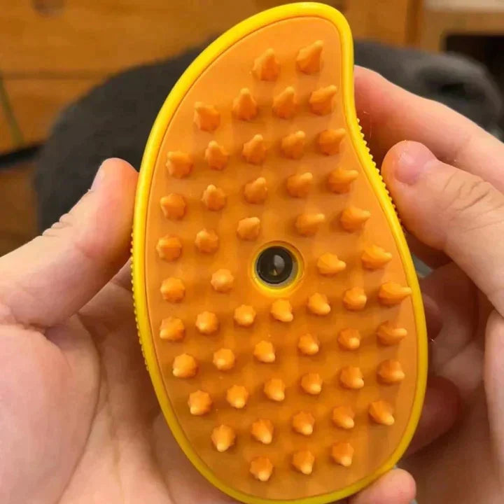 Brosse de toilettage avec brumisation pour animaux