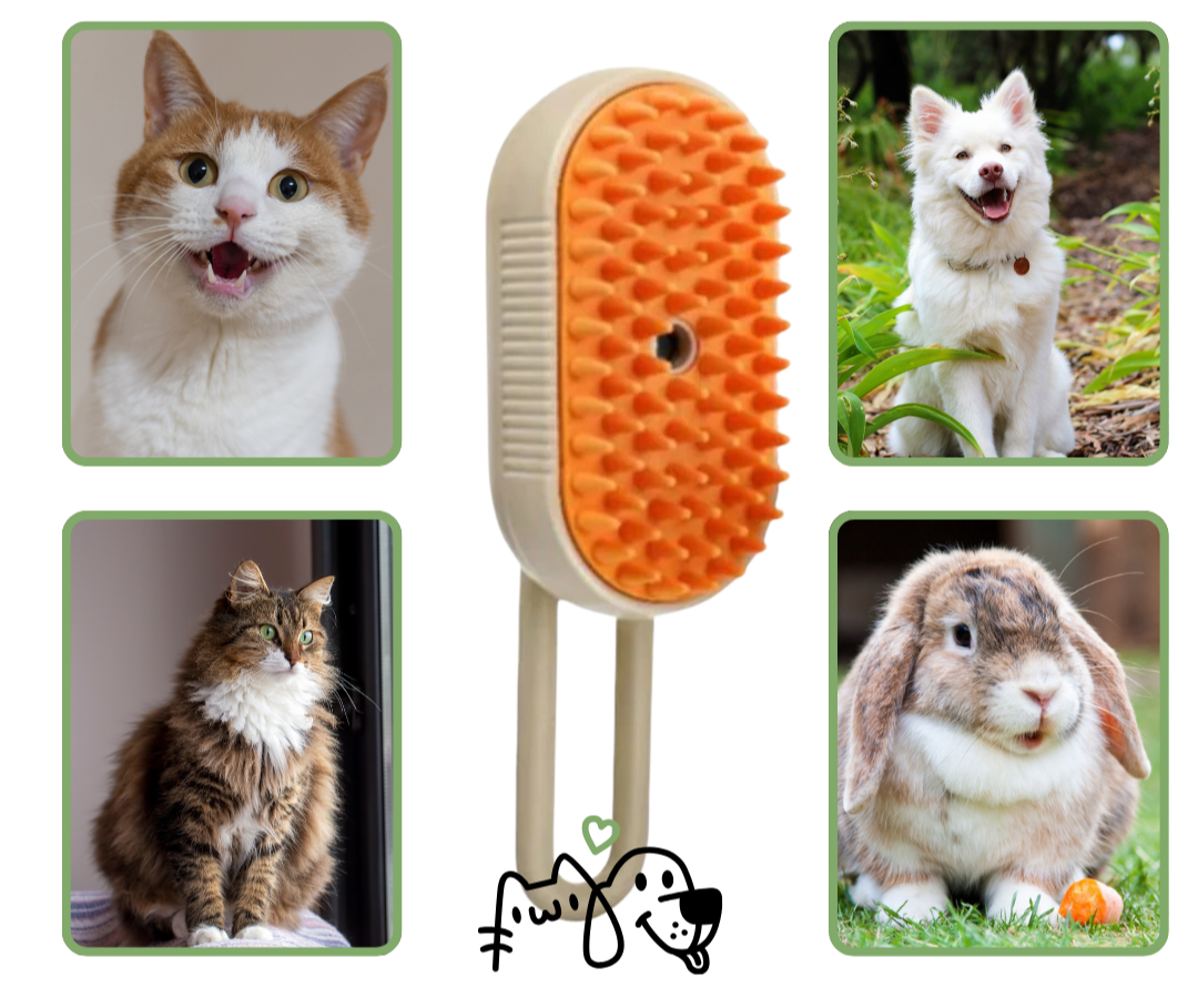 Brosse de toilettage 3 en 1 avec brumisation