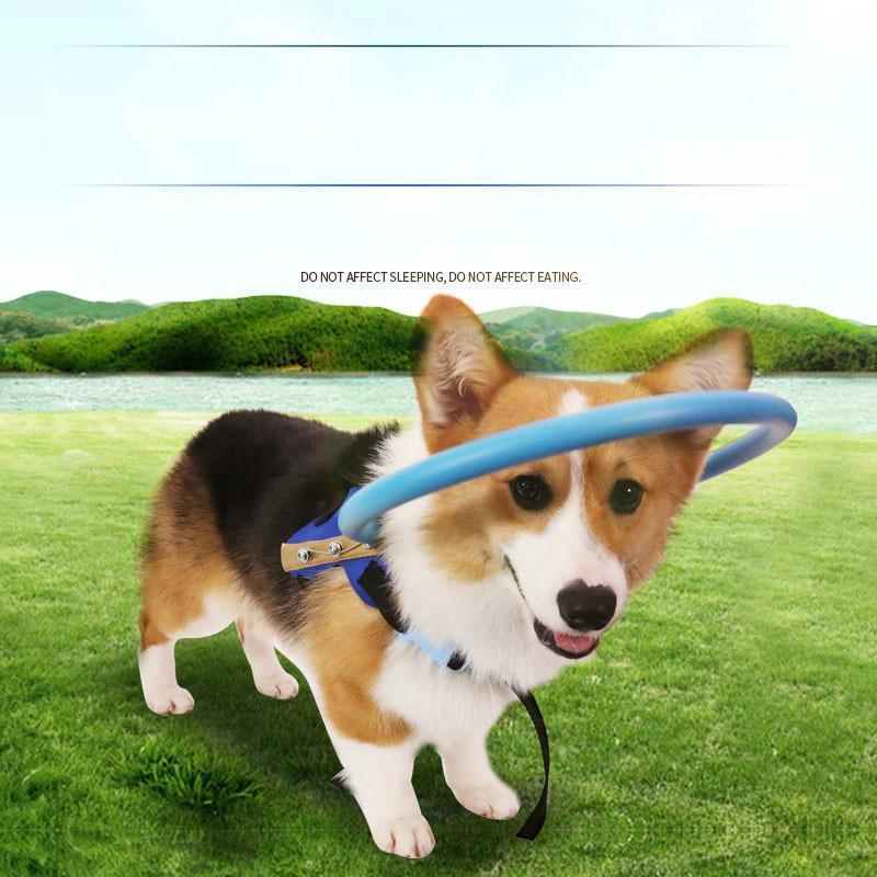 Harnais avec arceau de guidage pour chien malvoyant