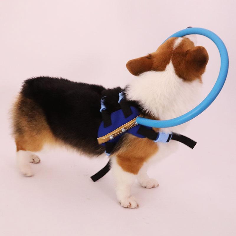 Harnais avec arceau de guidage pour chien malvoyant