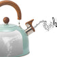 Bouilloire à sifflet en acier inoxydable, 3 litres