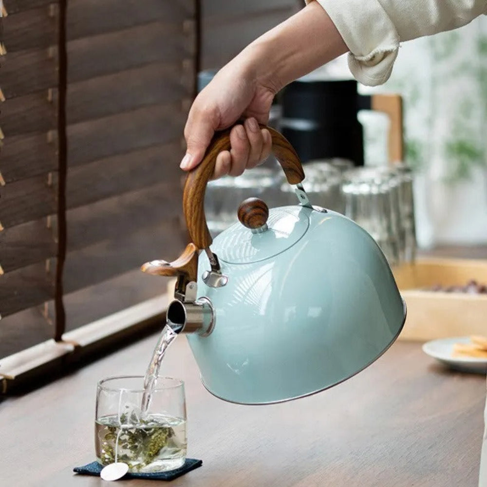 Bouilloire à sifflet en acier inoxydable, 3 litres