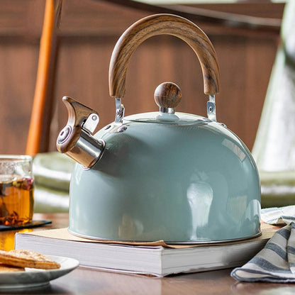 Bouilloire à sifflet en acier inoxydable, 3 litres