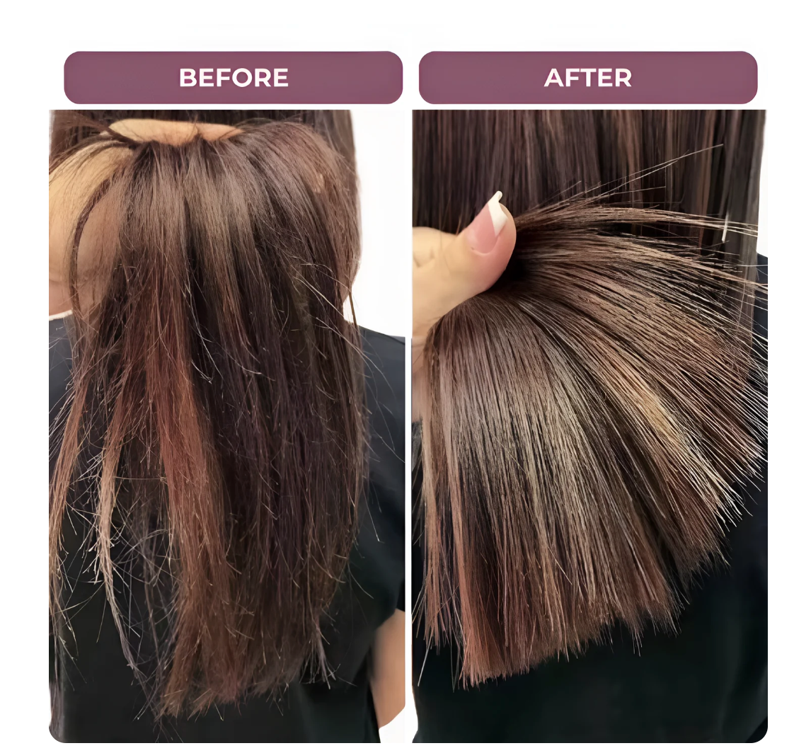 Appareil capillaire de coupe des pointes fourchues