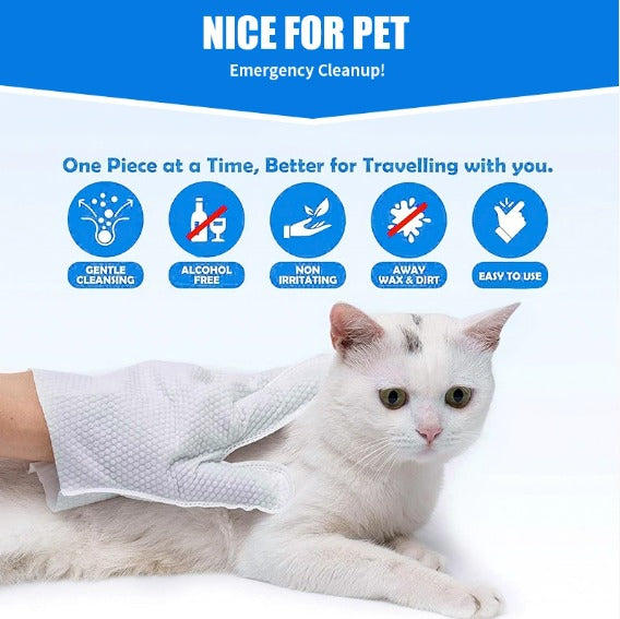 Lot de vingt gants nettoyants pour animaux, 25 × 15 cm