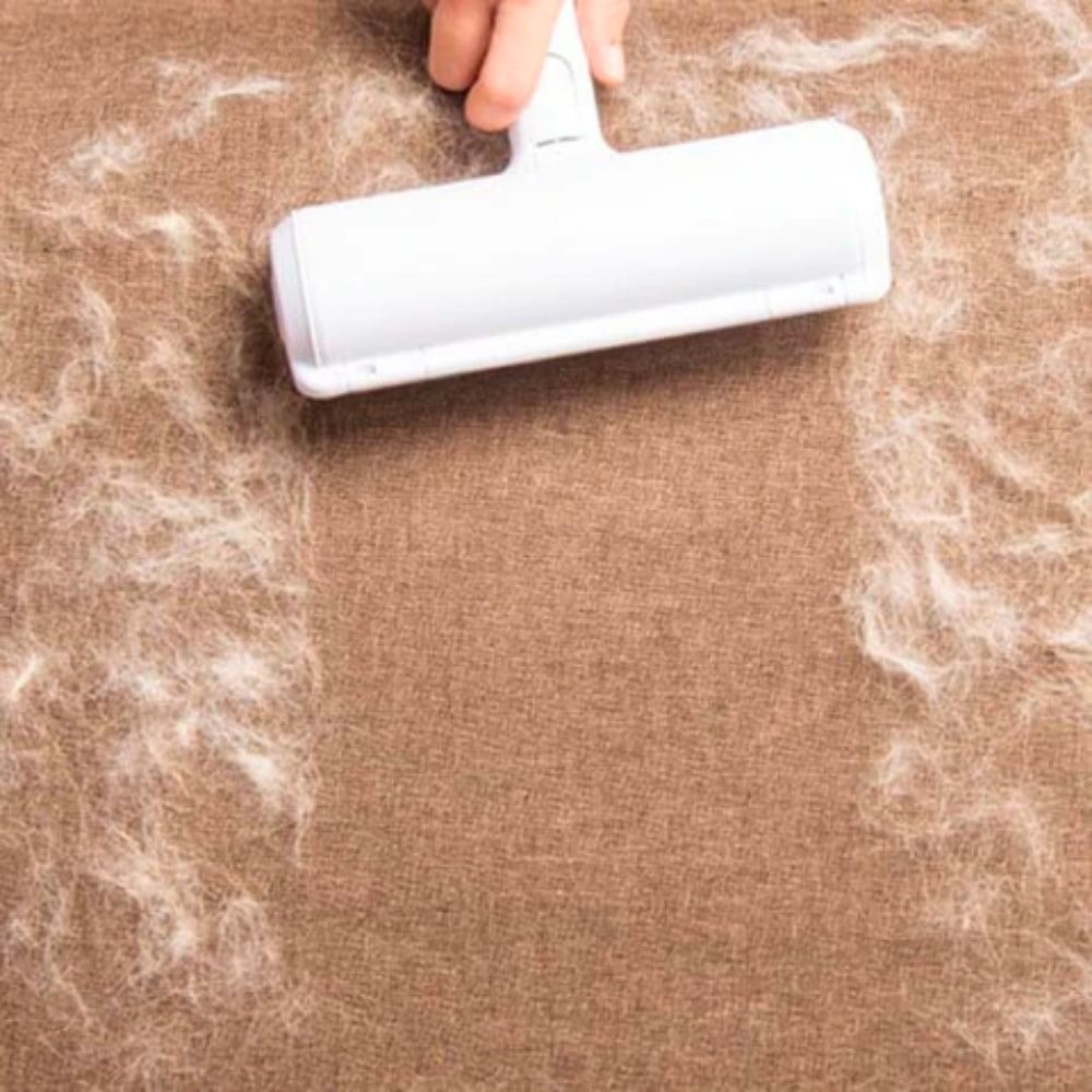 Brosse anti-poils d'animaux réutilisable