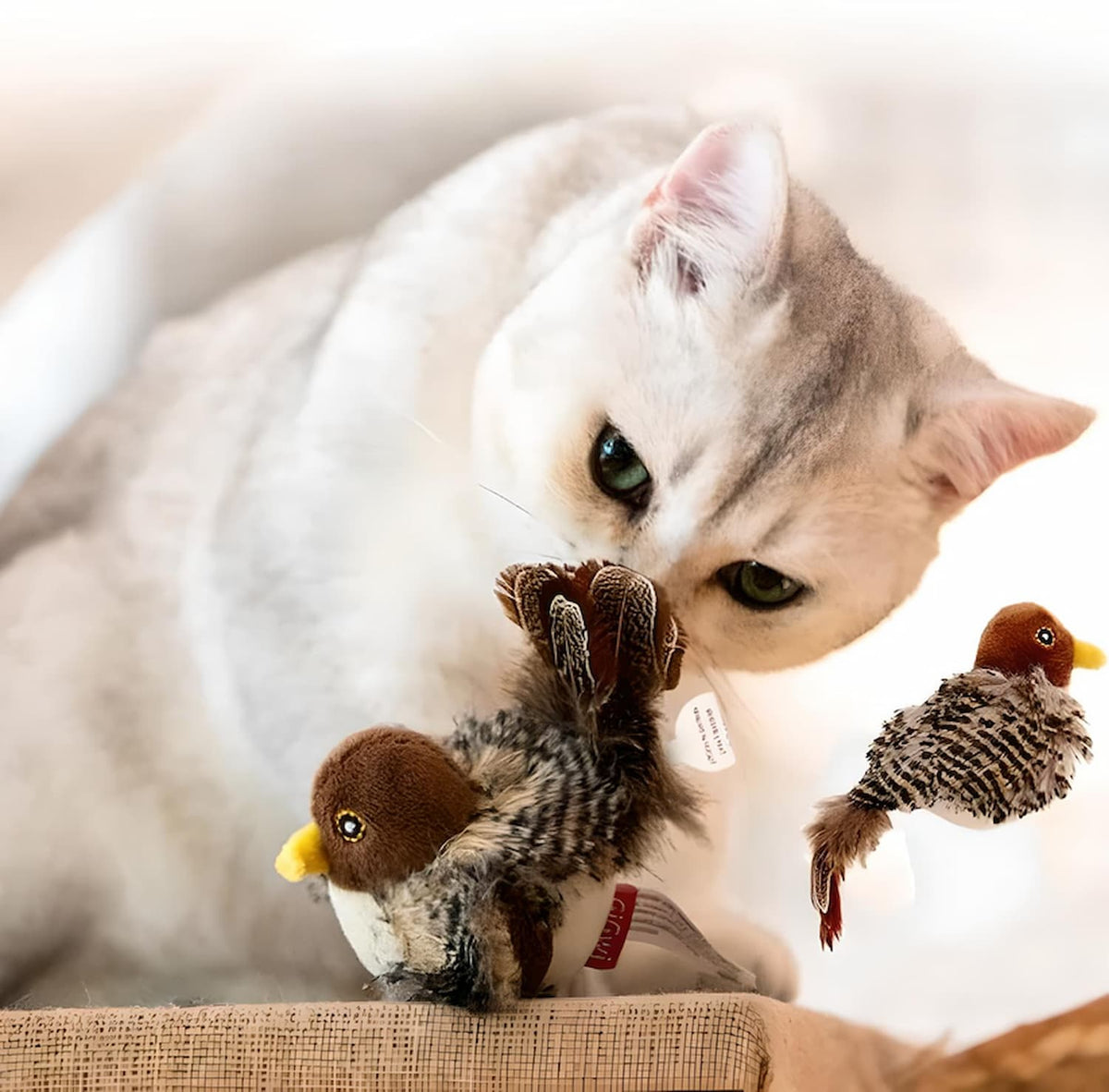 Oiseau interactif pour chat à ailes mobiles et sons