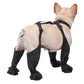 Bottes Imperméables Réglables pour Chien – Chaussures Antidérapantes Protection des Pattes Toutes Saisons
