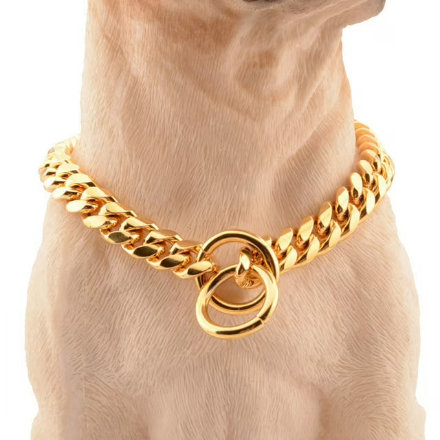 Felineau Collier Renforcé pour Chien — Maillons Massifs Polis