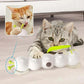 Felineau Jouet Interactif Automatique pour Chat avec Ventouse