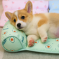 Tapis de repos rafraîchissant pour chien et chat à motifs