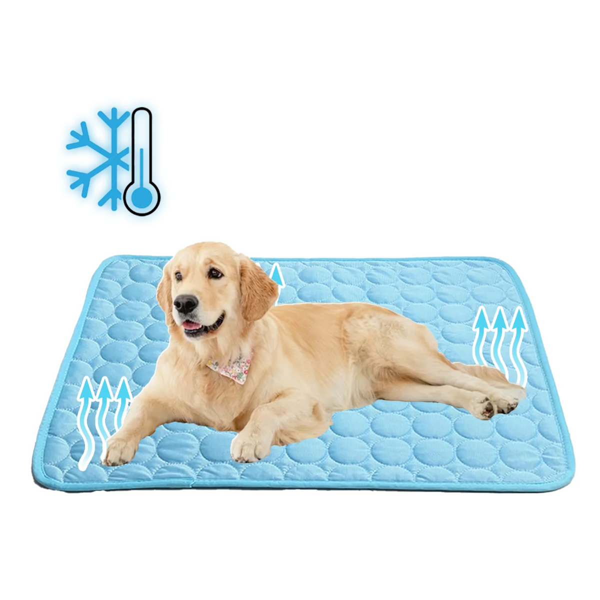 Tapis de repos rafraîchissant pliable pour chien et chat